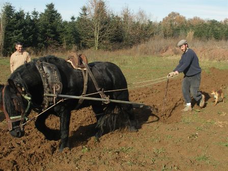 Actividades Agrarias